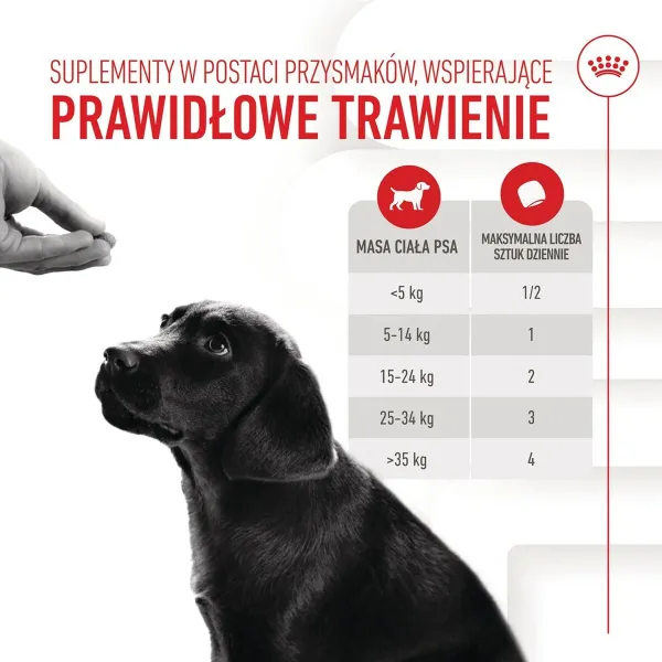 Joints supplement Royal Canin Immunity & Digest Puppy 100 g