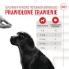 Joints supplement Royal Canin Immunity & Digest Puppy 100 g