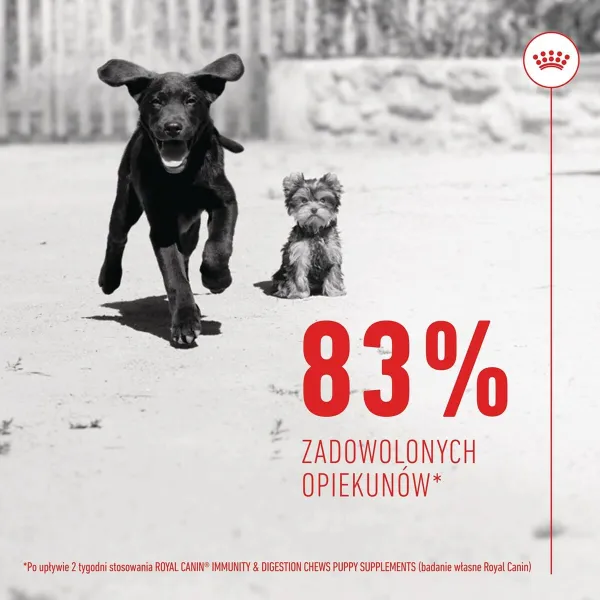 Joints supplement Royal Canin Immunity & Digest Puppy 100 g