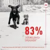 Joints supplement Royal Canin Immunity & Digest Puppy 100 g