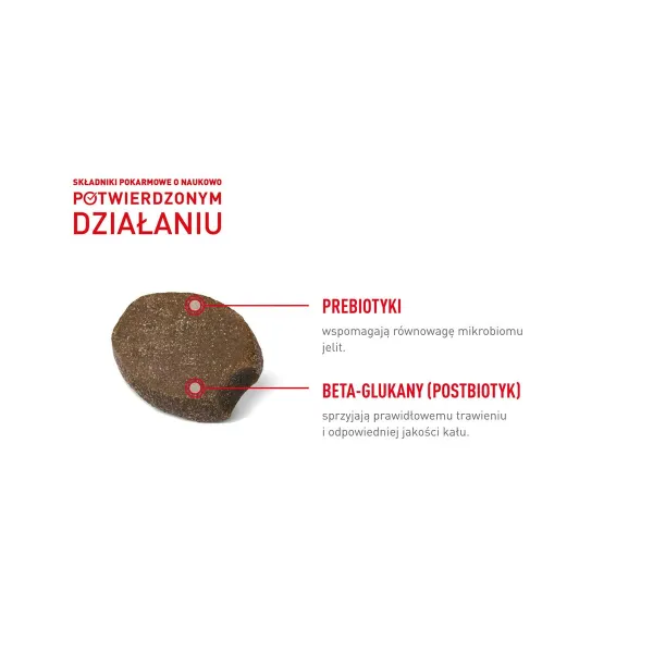 Sąnarių papildas Royal Canin Supplements Dog Digestion Adult