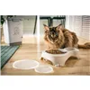 Dog Feeder Rotho Grey Plastic