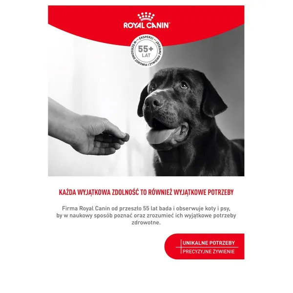 Locītavu līdzeklis Royal Canin Supplements Dog Digestion Adult