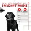 Sąnarių papildas Royal Canin Supplements Dog Digestion Adult