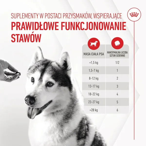 Nivelien lisäravinne Royal Canin Supplements Dog Joint & Ageing Adult 240 g