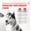 Nivelien lisäravinne Royal Canin Supplements Dog Joint & Ageing Adult 240 g