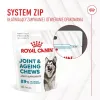Совместное приложение Royal Canin Supplements Dog Joint & Ageing Adult 240 g