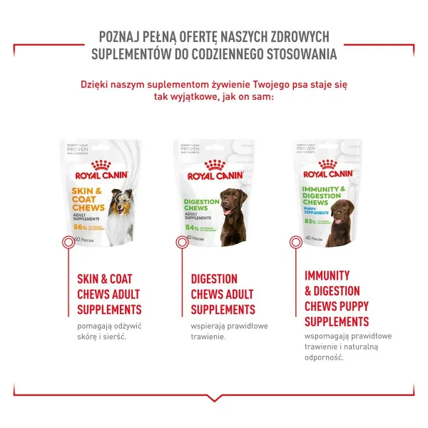 Nivelien lisäravinne Royal Canin Supplements Dog Joint & Ageing Adult 240 g