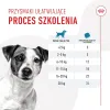Dog Snack Royal Canin Training Treats 110 g