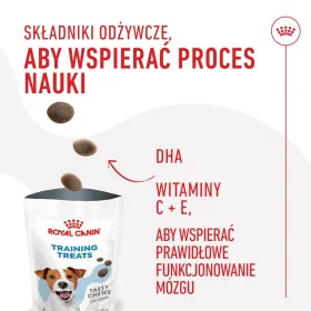 Apakšveļas Komplekts Exposed Melns (L/XL)