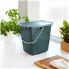 Bucket container Rotho Green Plastic