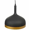 Ceiling Light Alexandra House Living Black Golden