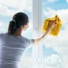 Cleaner Frischer FR00233_1000
