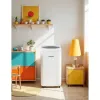 Portable Air Conditioner Blaupunkt AGDBLFAN014