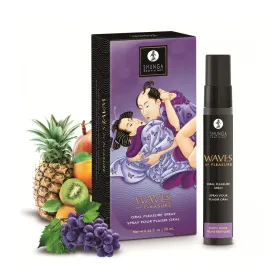 Liukuvoide Shunga Eksoottiset hedelmät 20 ml