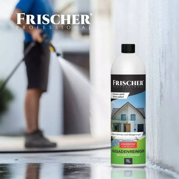Ikkunaimuri Frischer