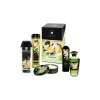 Pleasure Kit Shunga