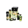 Pleasure Kit Shunga