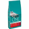 Cat food Purina