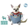 Dog Costume M