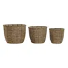 Set of Planters Home ESPRIT Brown Fibre Tropical 31 x 31 x 24 cm