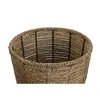 Set of Planters Home ESPRIT Brown Fibre Tropical 31 x 31 x 24 cm