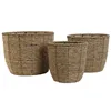 Set of Planters Home ESPRIT Brown Fibre Tropical 31 x 31 x 24 cm