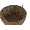 Set of Planters Home ESPRIT Brown Metal Fibre Tropical 34 x 33 x 15 cm