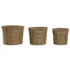 Set of Planters Home ESPRIT Brown Metal Fibre Tropical 36 x 36 x 29 cm