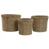 Set of Planters Home ESPRIT Brown Metal Fibre Tropical 36 x 36 x 29 cm