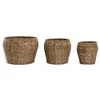 Set of Planters Home ESPRIT Natural Metal Fibre Tropical 32 x 32 x 25 cm