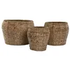 Set of Planters Home ESPRIT Natural Metal Fibre Tropical 32 x 32 x 25 cm