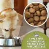 Фураж Dr.John Мясо ягненка 12,5 Kg Для взрослых 12,7 KG