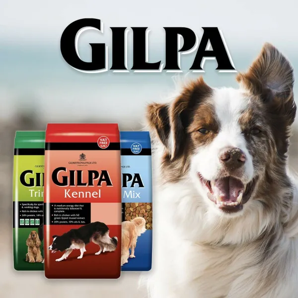 Sööt Glipa Kana 15 kg 16 Kg