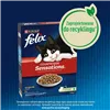 Cat food Purina Felix Countryside Sensations Beef 1 kg