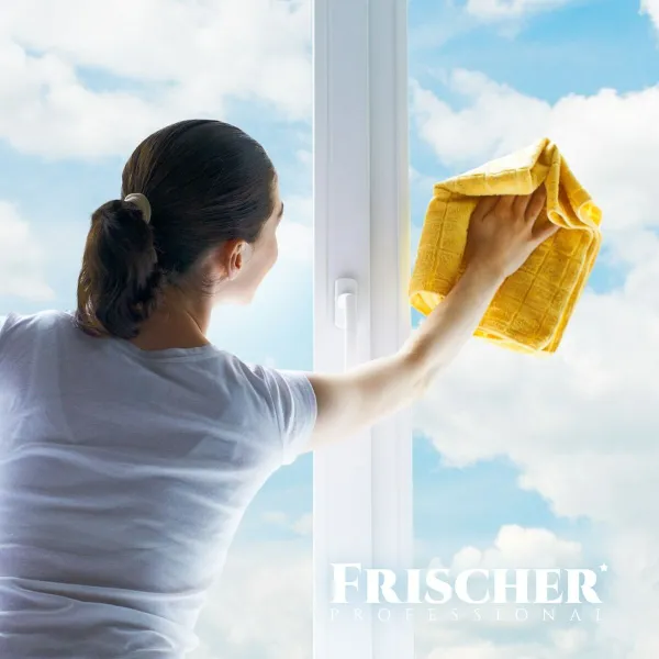 tīrītājs Frischer FR00233_500 0,5 L