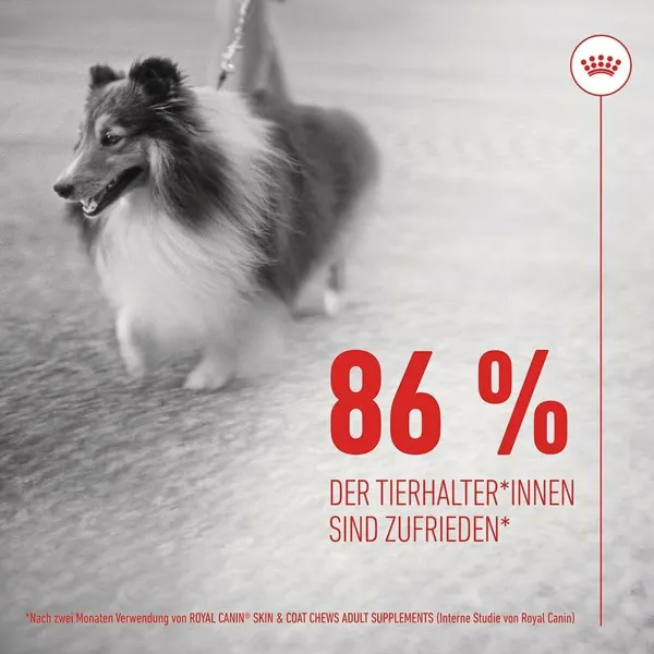 Закуска для собак Royal Canin 240 g