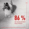 Užkandis šunims Royal Canin 240 g