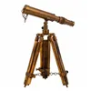 Decorative Figure Alexandra House Living Bronze Telescope 2 x 25 x 4 cm