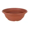 Plant pot Dem Resistant Brown