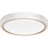 LED griestu gaisma Activejet AJE-VERDI W/G F 23 W 2400 Lm