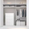 Portable Modular Shoe Cabinet InnovaGoods White