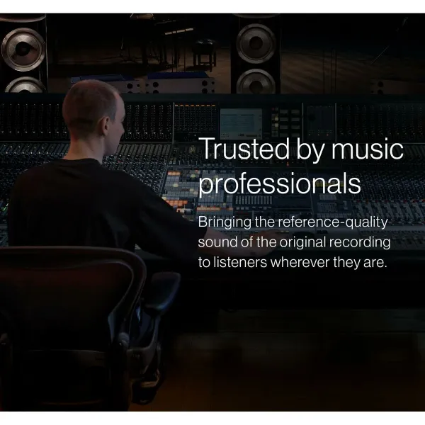 Austiņas Bowers & Wilkins FP44520