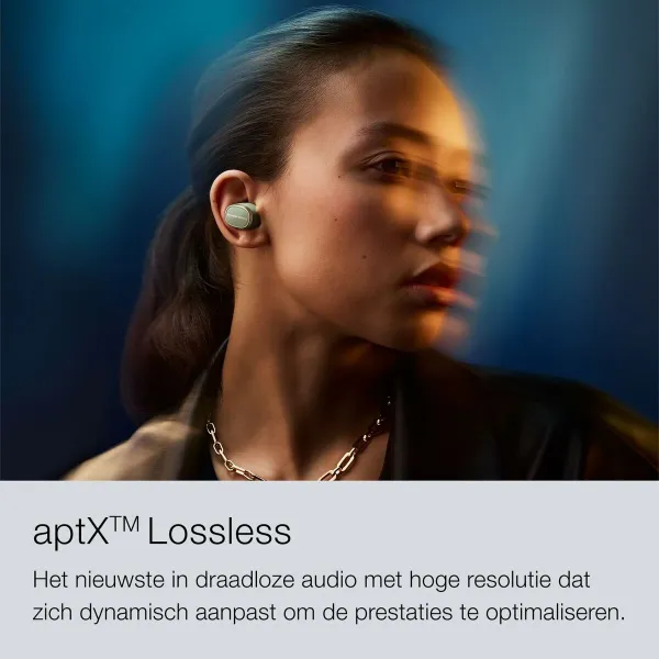 Austiņas Bowers & Wilkins FP44989 Melns