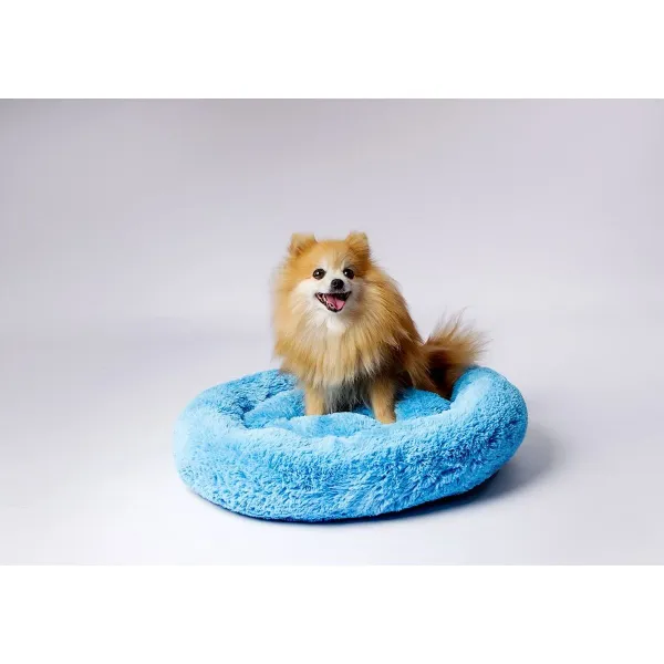 Koiran peti GO GIFT XL Sininen 80 x 10 x 80 cm