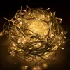 Jõulutuled Springos CL0505, 500 LED