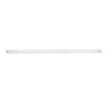 Linear fluorescent lamp T8