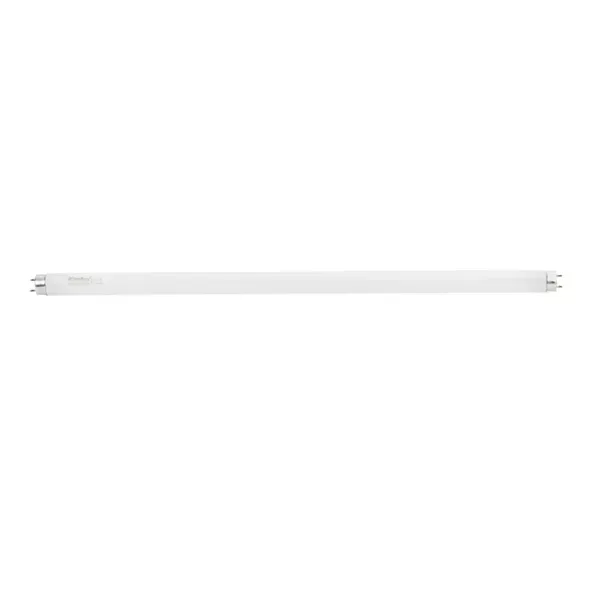 Linear fluorescent lamp T8