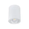 Ceiling-mounted spotlight fitting BORD