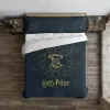 Pussilakana Harry Potter Dormiens Draco 220 x 220 cm Sänky 135/140